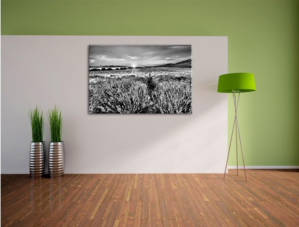 Pixxprint Lavendelfeld in Frankreich als Leinwandbild/Grösse: 100x70 / Wandbild/Kunstdruck/fertig be