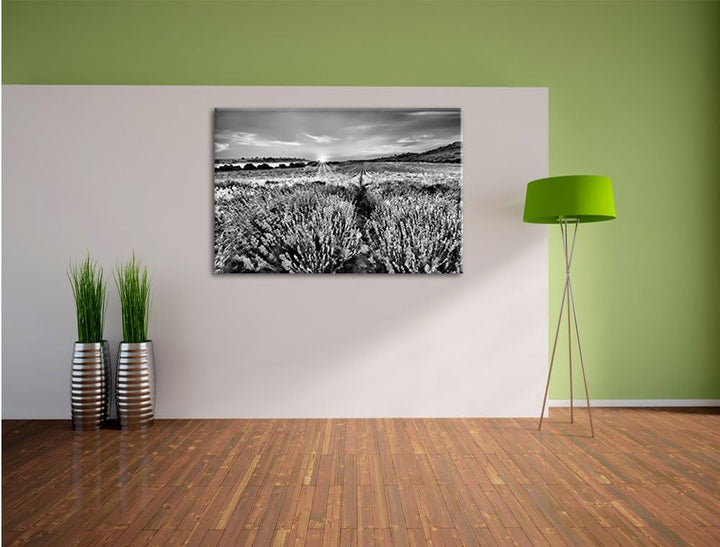 Pixxprint Lavendelfeld in Frankreich als Leinwandbild/Grösse: 100x70 / Wandbild/Kunstdruck/fertig be