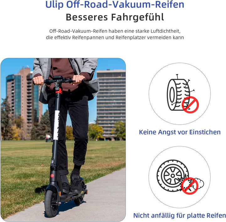 ulip (2 Stück 10x2.75-6.5 Offroad Tubeless Scooter Reifen mit Ventil Reifenersatz für Speedway5 Dual