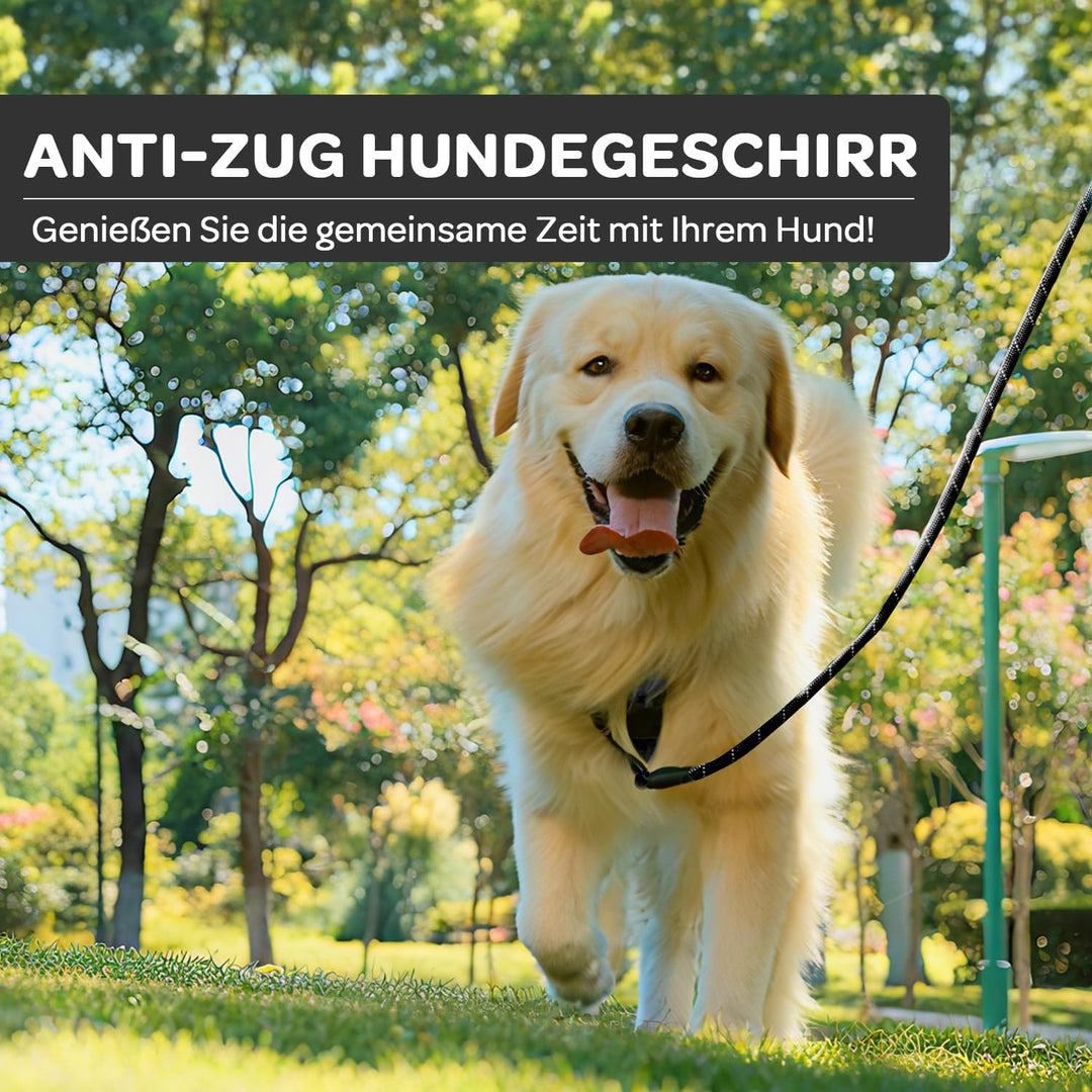 Furryfection Zugfreies Hundegeschirr Reflektierend Plaid Schwarz Grösse S | Strapazierfähiges Oxford