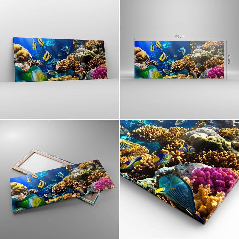 Wandbilder Dekoration Wohnzimmer Korallenriff Ozean Krabbe Fisch Panorama Bilder auf Leinwand 120x50