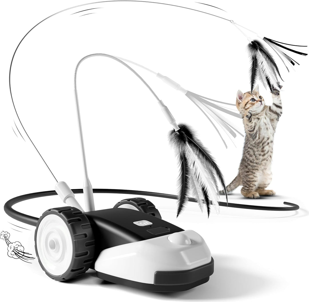 Casfuy 3-in-1 interaktives Katzenspielzeug - 2-Geschwindigkeit katzenspielzeug elektrisch selbstbesc