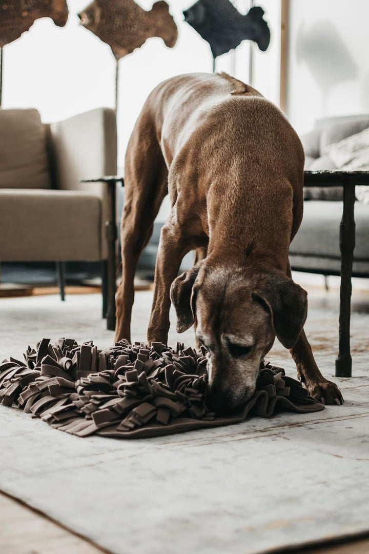 LILA LOVES IT - Schnüffelteppich für Hunde, 56 x 56 cm – Premium Hundespielzeug für eine hundgerecht