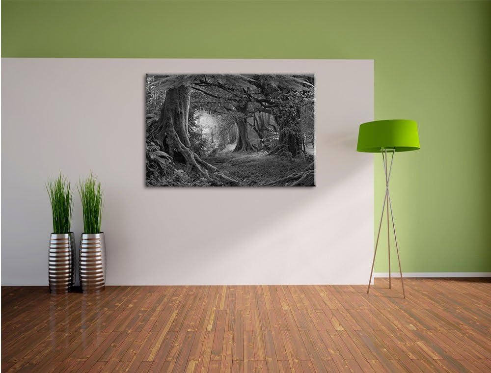 Pixxprint Dschungel im tropischen Regenwald Kunst B&W, Grösse: 120x80cm, Leinwandbild, fertig gespan