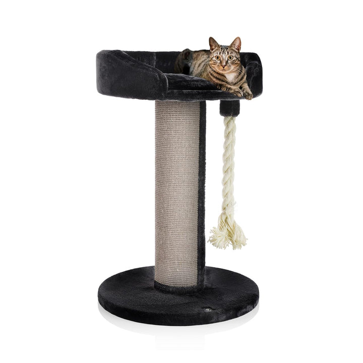 CanadianCat Company | Kratzbaum Ontario - XXL Katzenlounge 100 cm Höhe | anthrazit | Ø 20cm Sisal-Kr