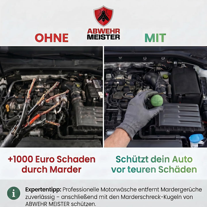 Original 8X Marderschreck-Kugeln inkl. PKW-Halterung, Marderschreck Auto mit Sofort und Langzeitwirk