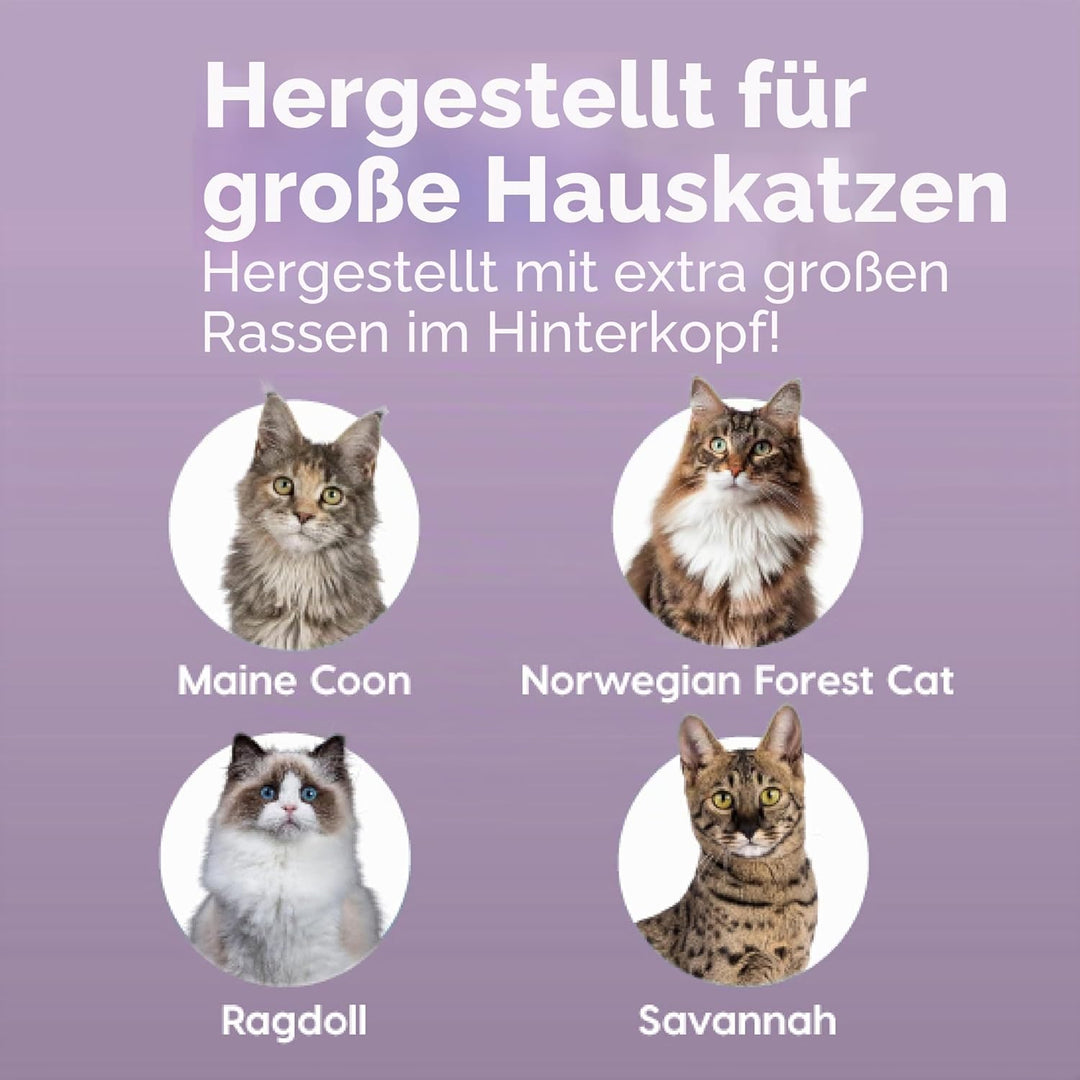 Iris Ohyama, XXL Katzenklo, Katzentoilette Hoher Rand, Schwarz, Grosses Katzenklo, Abnehmbare Ränder
