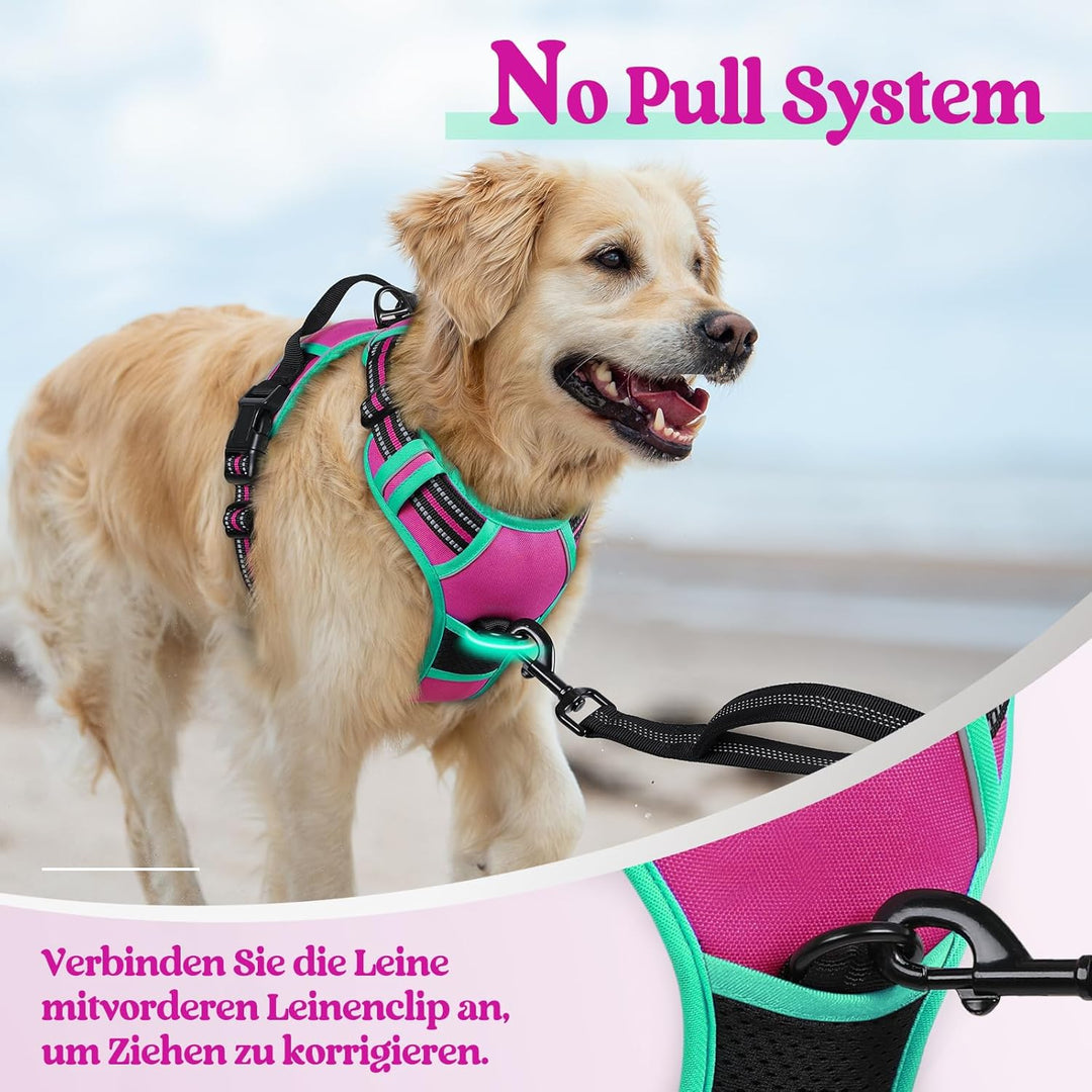 rabbitgoo Hundegeschirr Mittelgrosse Hunde, Anti Zug Geschirr mit Kontrolle, No Pull Verstellbar Hun