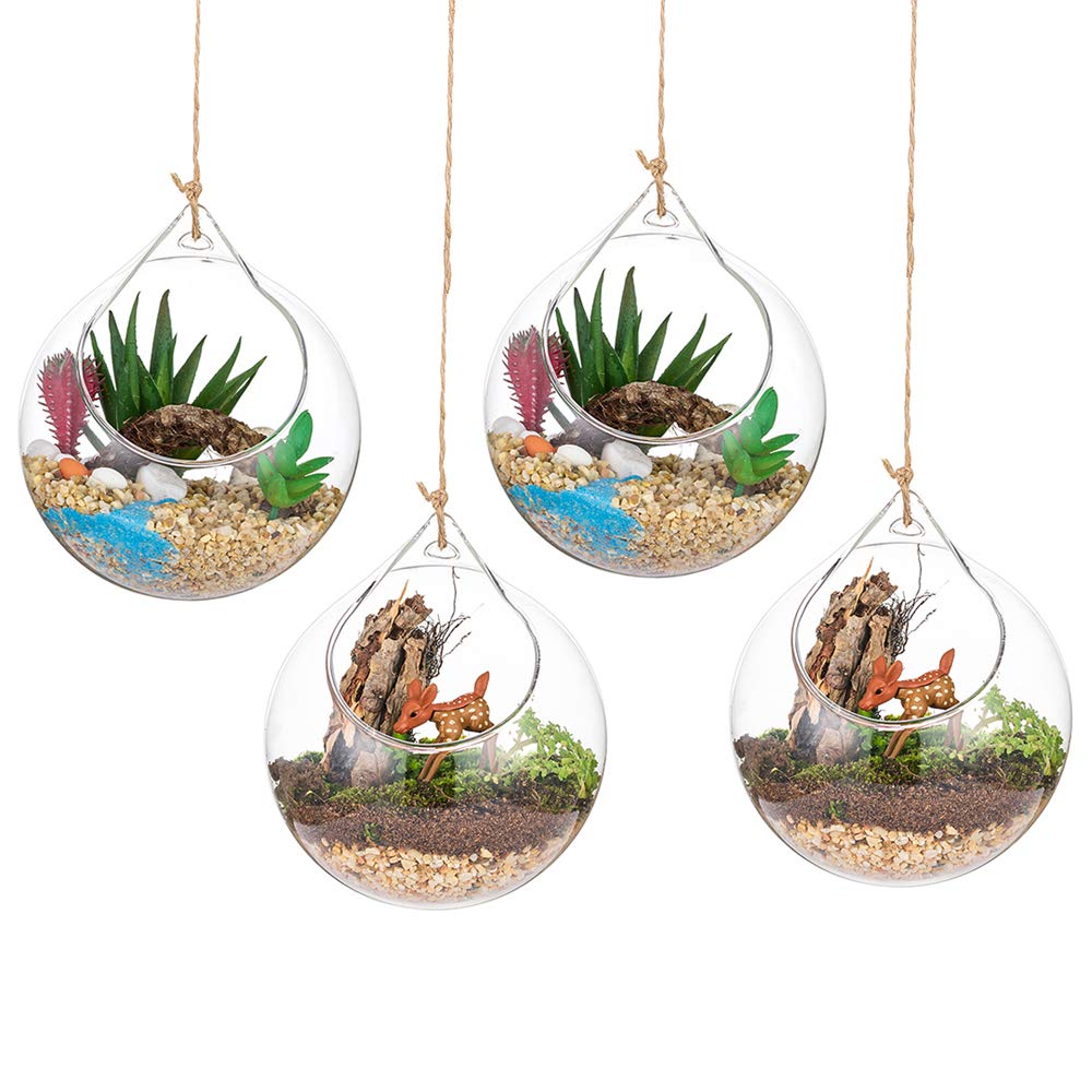 Hängende Glaskugel Vase Glaskugel 4 Pcs Grosse Öffnung Sukkulenten Aufhängen Terrarium Glas Flower A