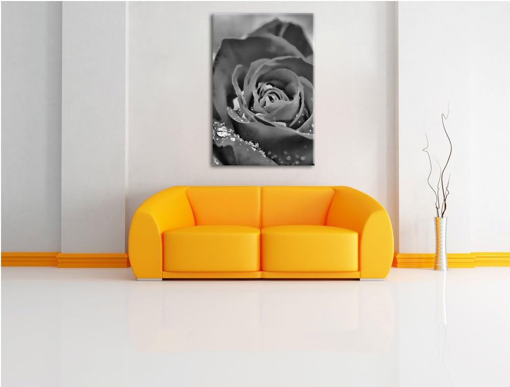 Monocrome, Prächtige rote Rose mit Wassertropfen, Format: 100x70 auf Leinwand, XXL riesige Bilder fe