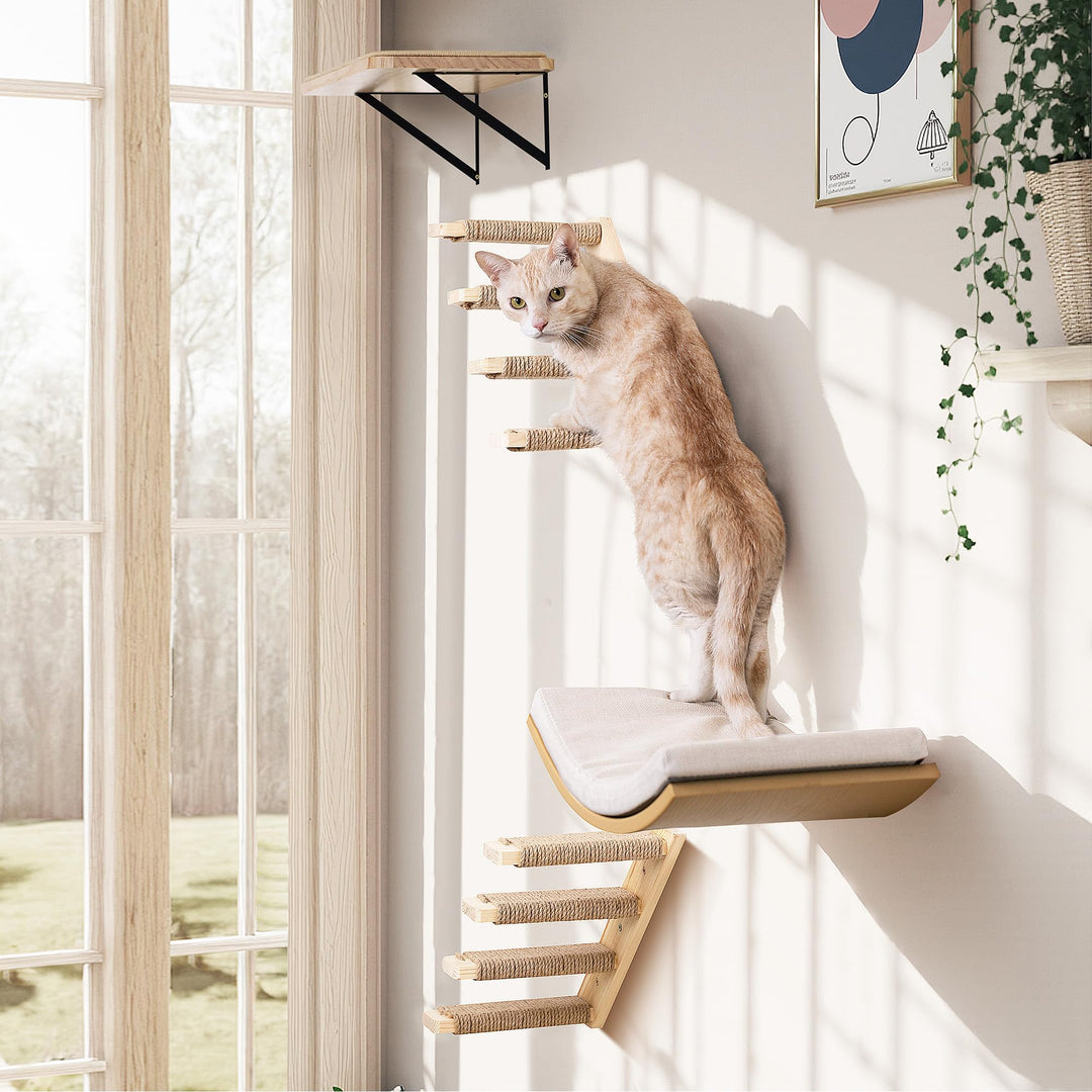Katzen Kletterwand, Katzentreppe Wand Set mit 2 Stufen Quadratischer & Gebogenen Plattformen, Wandmo