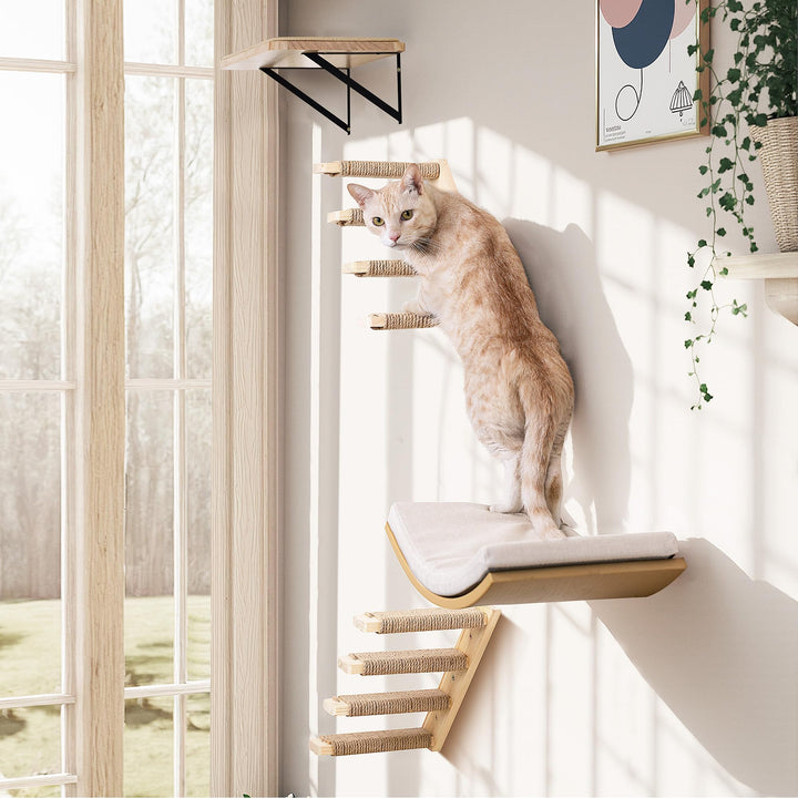 Katzen Kletterwand, Katzentreppe Wand Set mit 2 Stufen Quadratischer & Gebogenen Plattformen, Wandmo