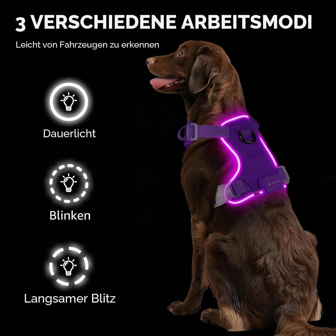 MASBRILL Hundegeschirr Leuchtend, LED Hundegeschirr Aufladbar &amp; Einstellbar für Welpen Kleiner Mittl