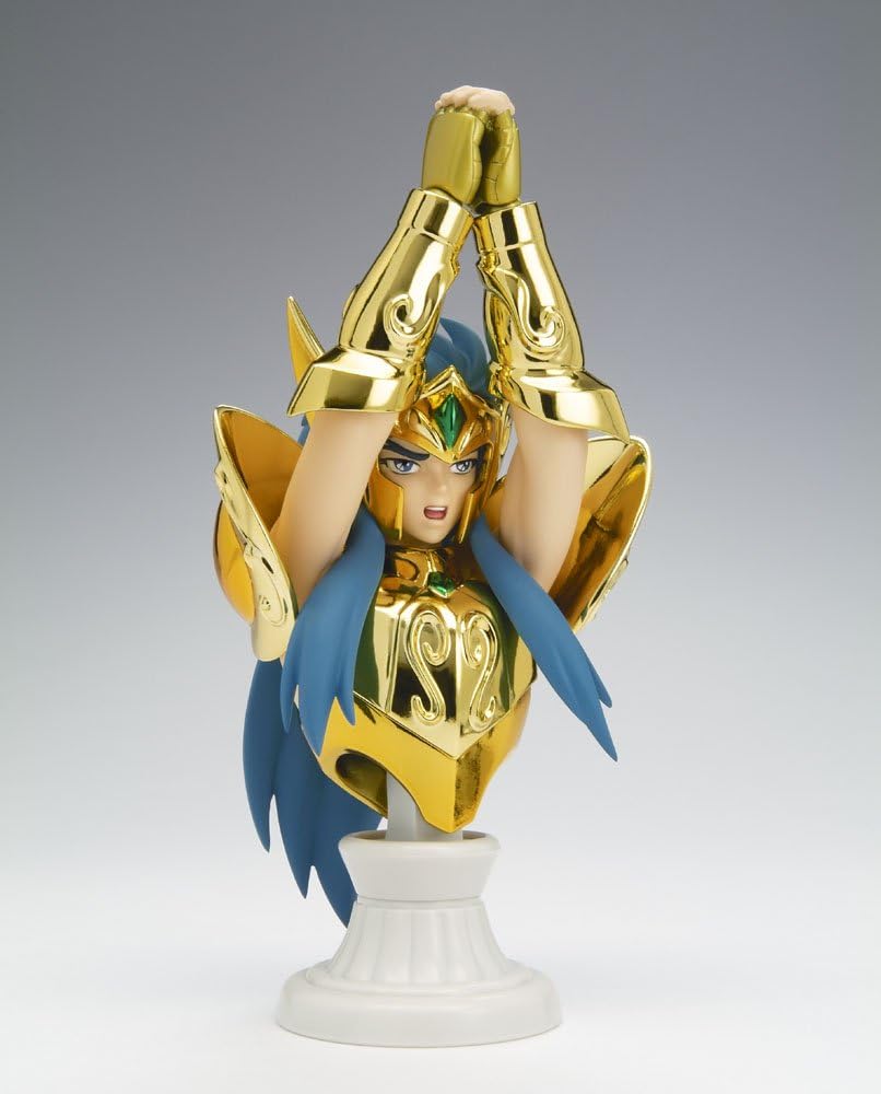 Saint Seiya Saint Cloth Myth Appendix Aquarius Camus Figure
