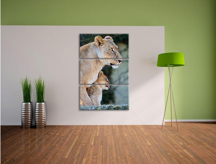 Pixxprint Löwenmutter mit Jungtier als Leinwandbild/Grösse: 3 Teilig (120x80) cm/Wandbild/Kunstdruck