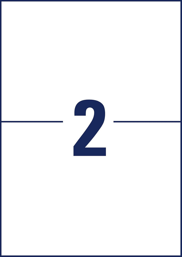 AVERY Zweckform 3655 Universal Etiketten (200 Klebeetiketten, 210x148mm auf A4, bedruckbare Versande
