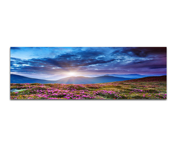 Paul Sinus Art Panoramabild auf Leinwand und Keilrahmen 150x50cm Ukraine Blumenwiesen Berge Wolkenhi