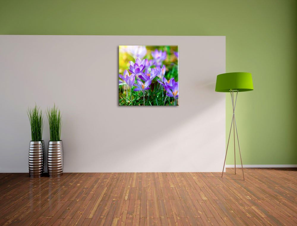 Pixxprint Schöne Krokusse, Format: 70x70 auf Leinwand, XXL riesige Bilder fertig gerahmt mit Keilrah