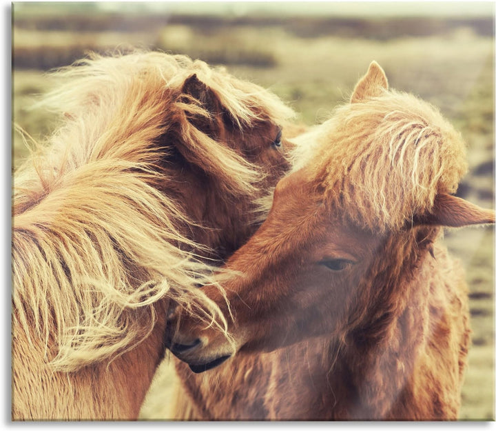 Islandpferde Pony Herdabdeckplatte & Spritzschutz aus Echtglas | Für Herd-Kochfelder | 60x52 cm