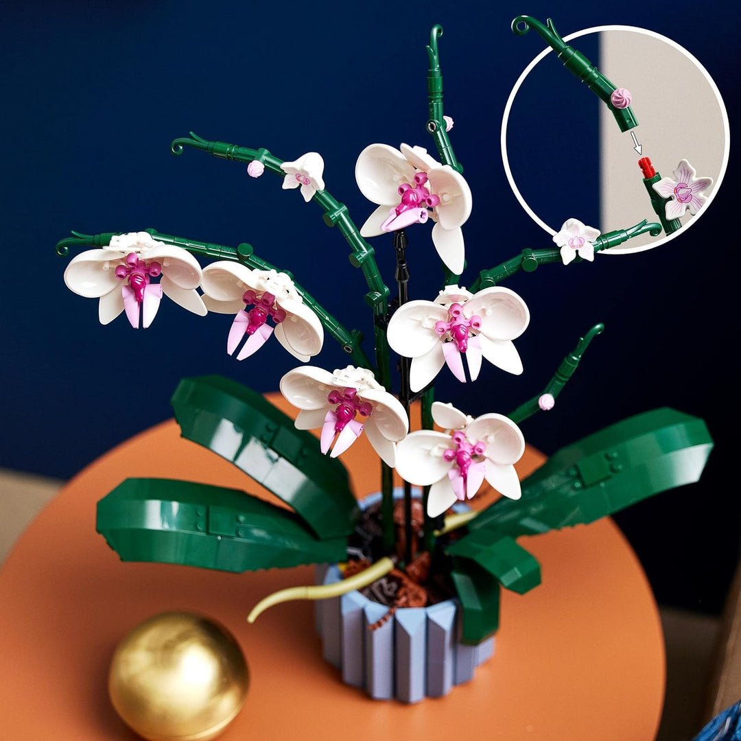 LEGO Icons Eisvogel Modellbausatz für Erwachsene, Vogel-Modell & Icons Orchidee, Künstliche Pflanzen