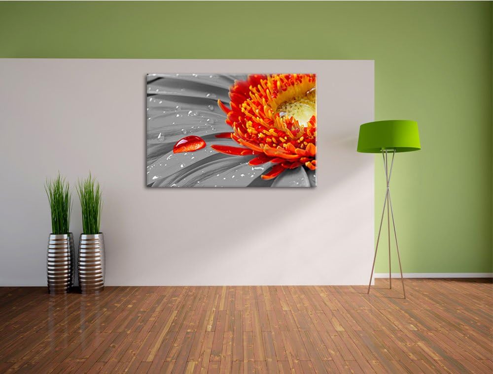 Wassertropfen auf Gerbera schwarz/weiss Format: 100x70 auf Leinwand, XXL riesige Bilder fertig gerah