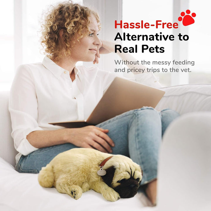 Plenty Gifts 96194 Perfect Petzzz Soft Pug, Universalgrösse, One