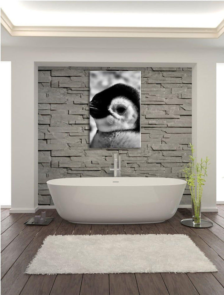 Pixxprint DREI Kaiserpinguin-Küken als Leinwandbild | Grösse: 100x70 cm | Wandbild | Kunstdruck | fe