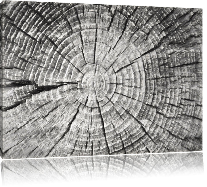 Baumstamm mit Jahresringen Deluxe Format: 100x70 cm auf Leinwand, XXL riesige Bilder fertig gerahmt