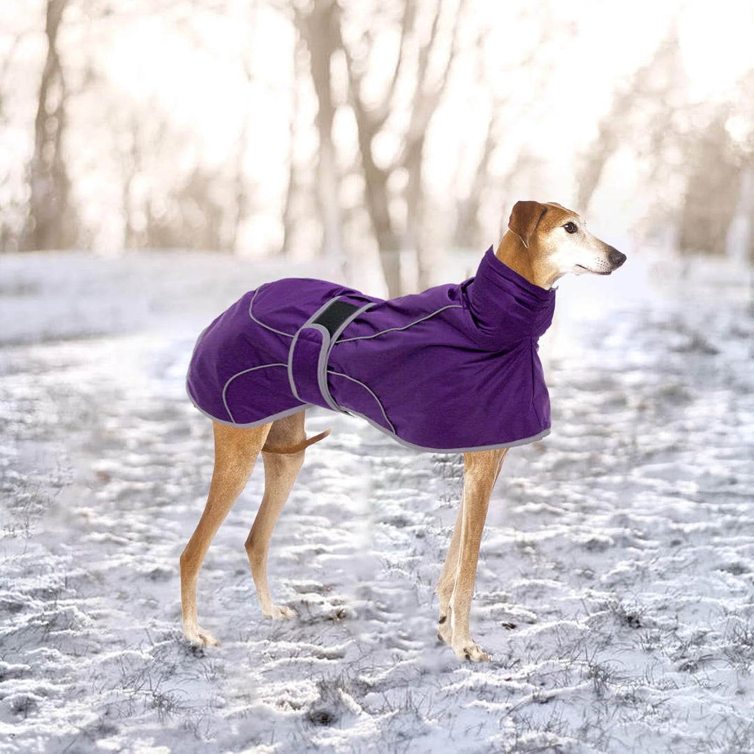 Geyecete-Wasserdicht Windhunde Mantel Fleece Whippet Pullover Winterjacke,Verstellbaren Reflektieren