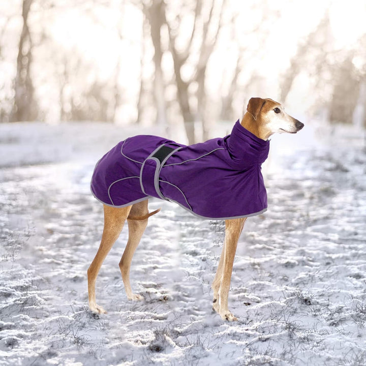 Geyecete-Wasserdicht Windhunde Mantel Fleece Whippet Pullover Winterjacke,Verstellbaren Reflektieren