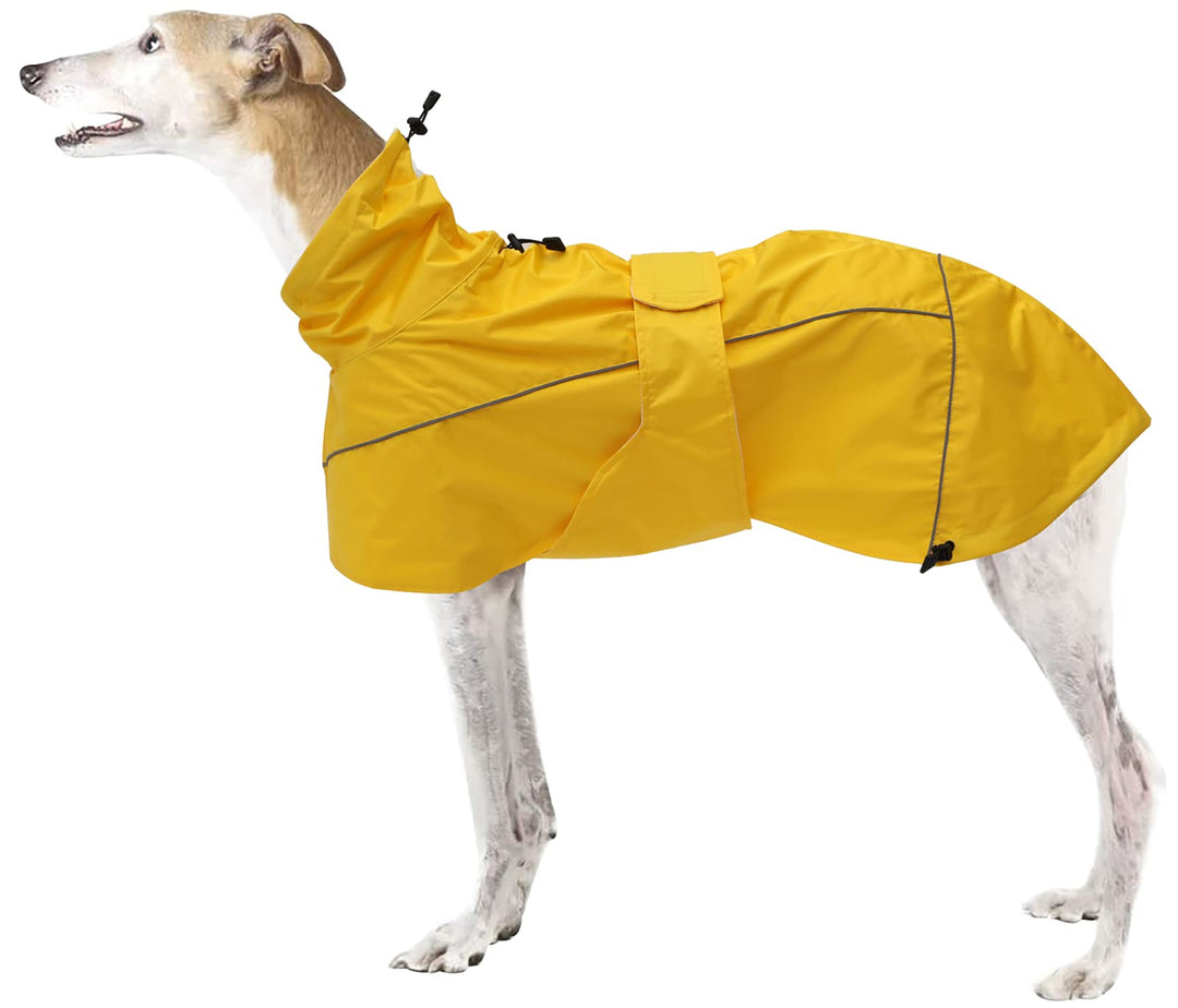 MOREZI Windhund-Regenmantel, regenfest/wasserdicht, hoher Bund mit verstellbarem Kordelzug und Hüftg