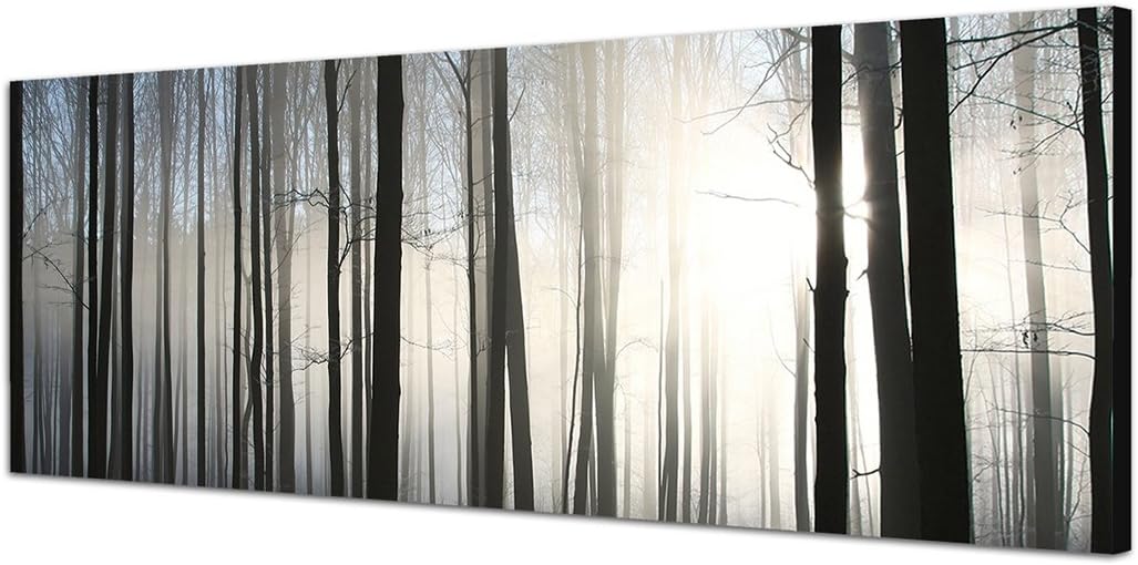 Paul Sinus Art Panoramabild auf Leinwand und Keilrahmen 150x50cm Wald Winter Schnee Sonnenstrahlen