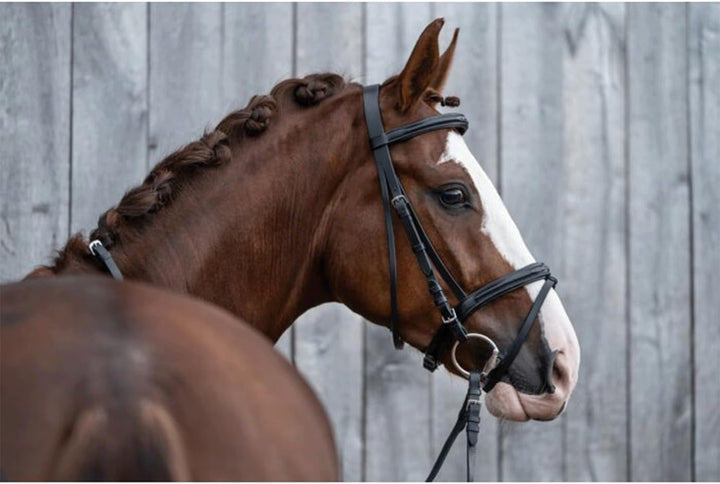 HKM 10892400.0622 Reittrense, Jana Pony, Pony