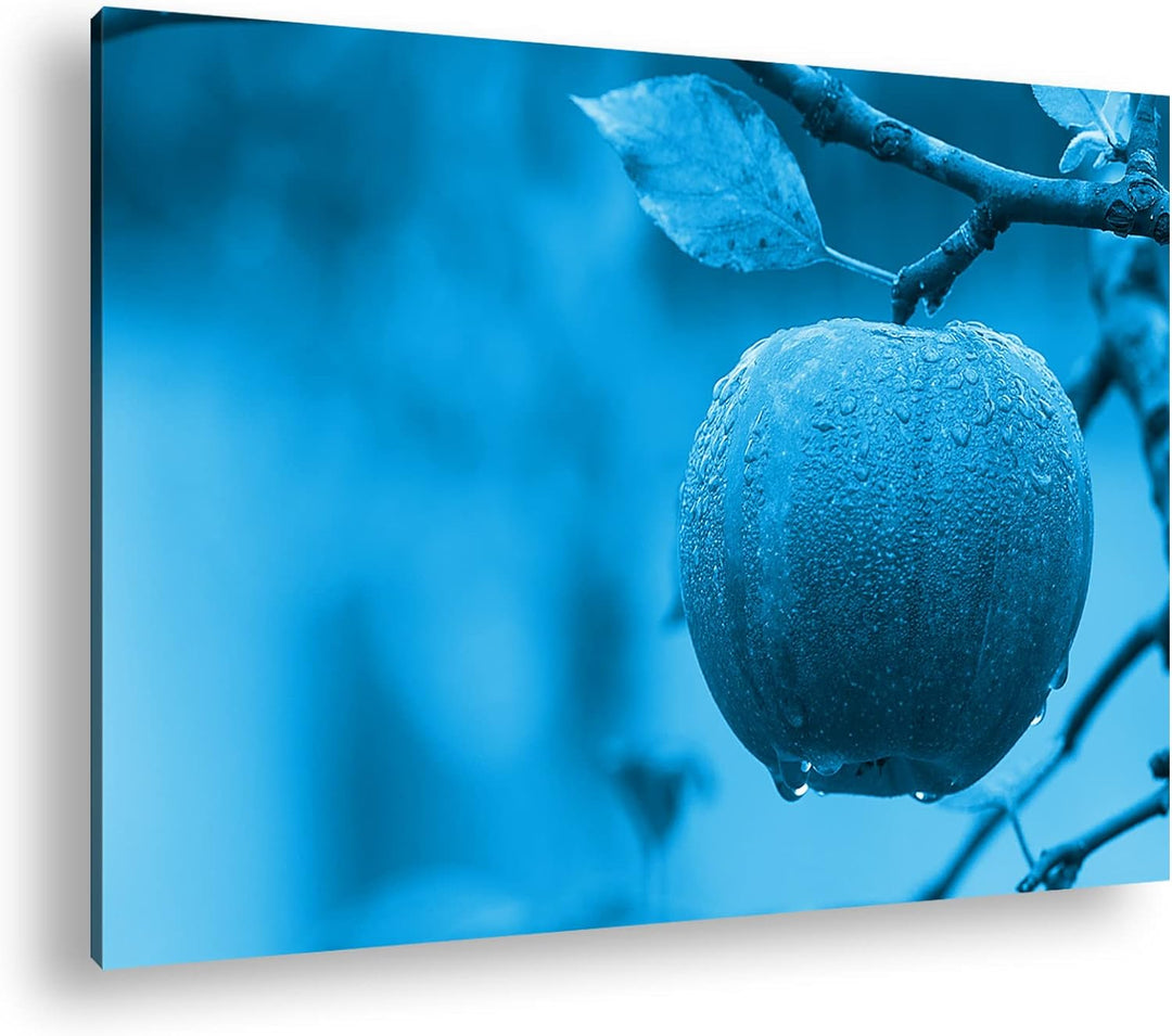 deyoli feuchter Apfel am Baum Format 100x70 Effekt: Monocrome Blau als Leinwandbild, Motiv fertig ge
