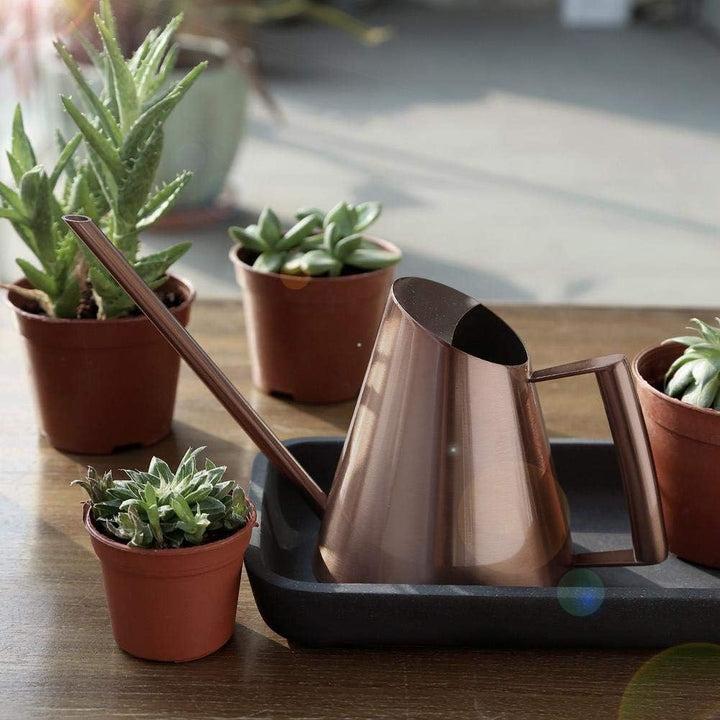 Haushalts-Bonsai-Edelstahl-Giesskanne, Mini gebürsteter Innenhaus-Pflanzen-Langer Tüllen-Giesskanne-
