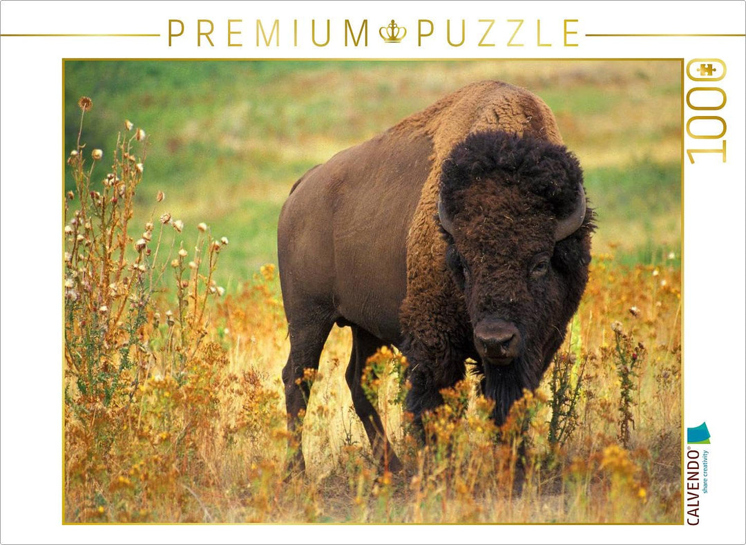 CALVENDO Puzzle Wisent & Bison 1000 Teile Lege-Grösse 64 x 48 cm Foto-Puzzle Bild von Elisabeth Stan