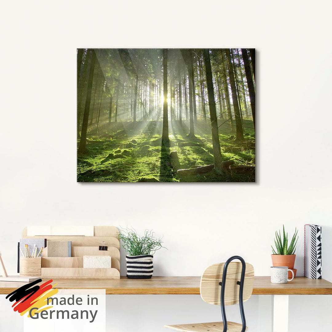 Glasbilder Wandbild Glas Bild einteilig 50x50 cm Quadratisch Natur Wald Landschaft Sonne Bäume Moos