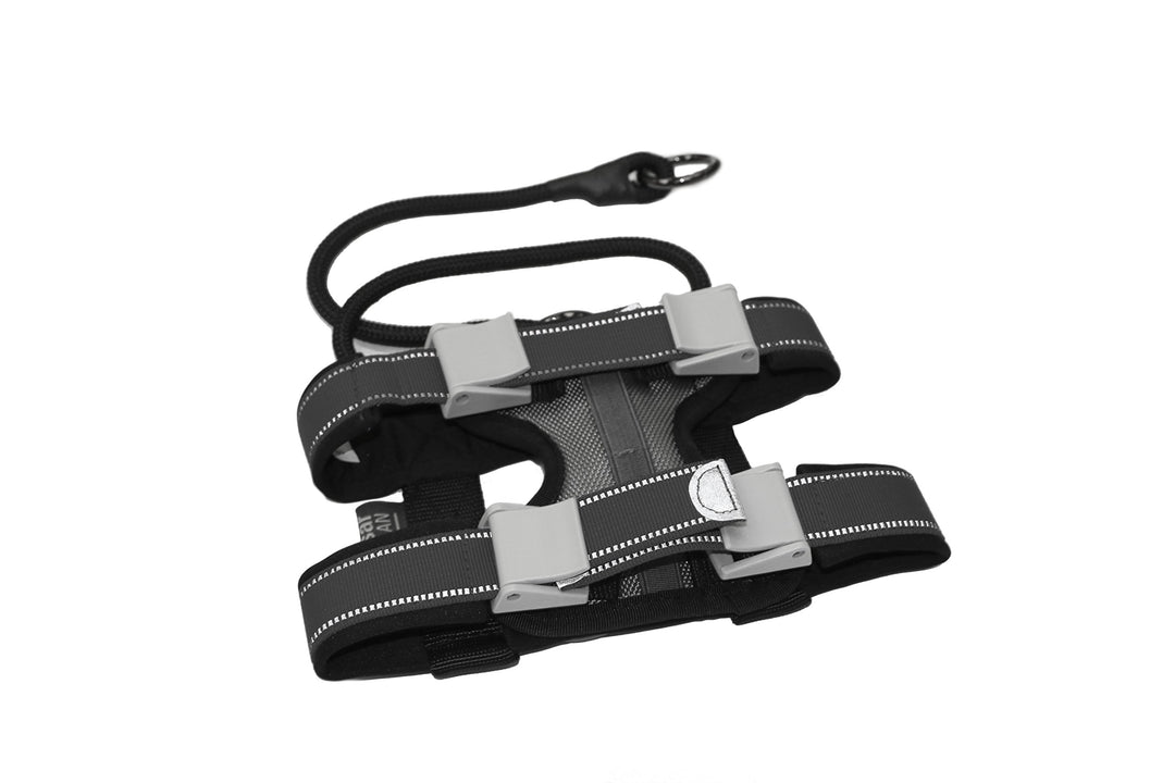 Cesar Millan Pack Leader Collar™ - Trainingshalsband des Hundeflüsterers Cesar Millan (Klein, Grau)