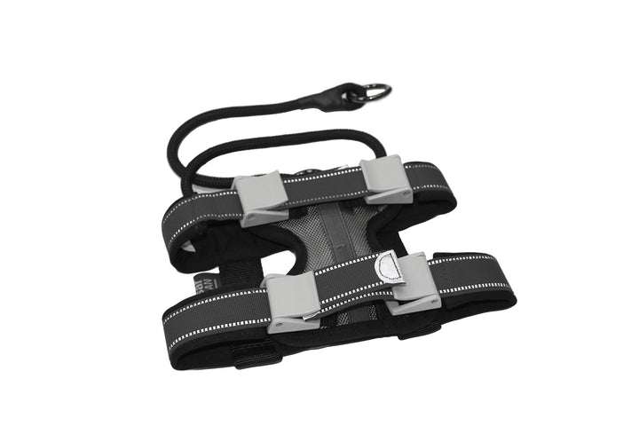 Cesar Millan Pack Leader Collar™ - Trainingshalsband des Hundeflüsterers Cesar Millan (Klein, Grau)