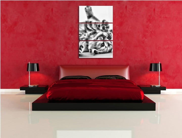 Pixxprint Kleine Katze als Leinwandbild/Grösse: 3 Teilig (120x80) / Wandbild/Kunstdruck/fertig bespa