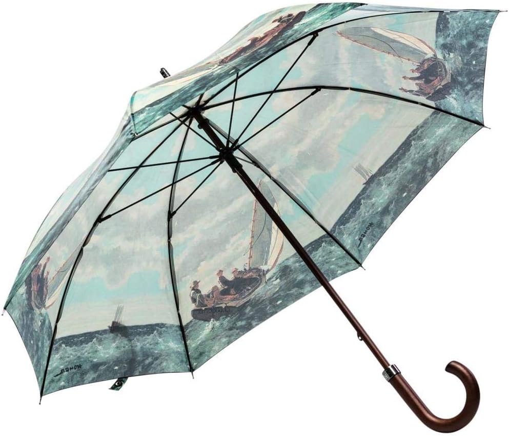 LUCKYWEATHER Regenschirm Stockschirm Damen/Herren Motiv Breezing Up I Stockregenschirm gross und sta