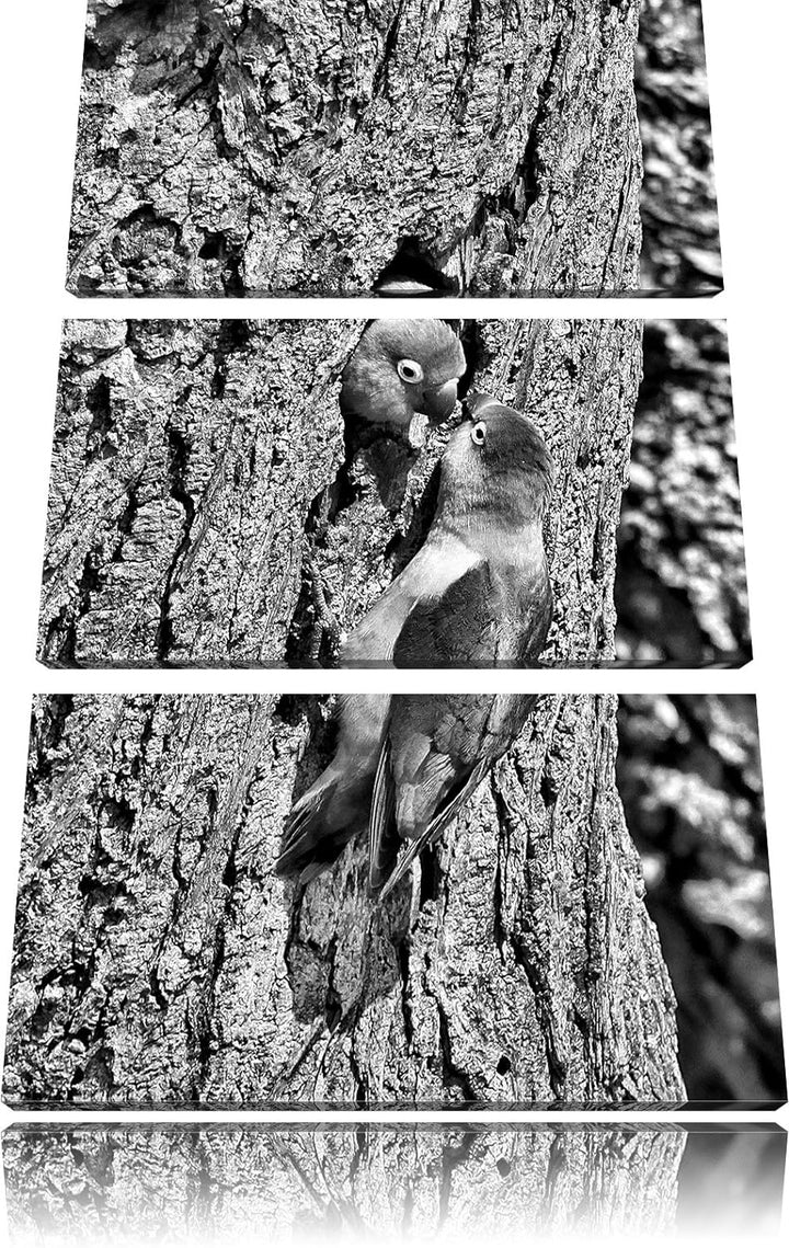 Pixxprint Papageienpaar als Leinwandbild/Grösse: 3 Teilig (120x80) cm/Wandbild/Kunstdruck/fertig bes