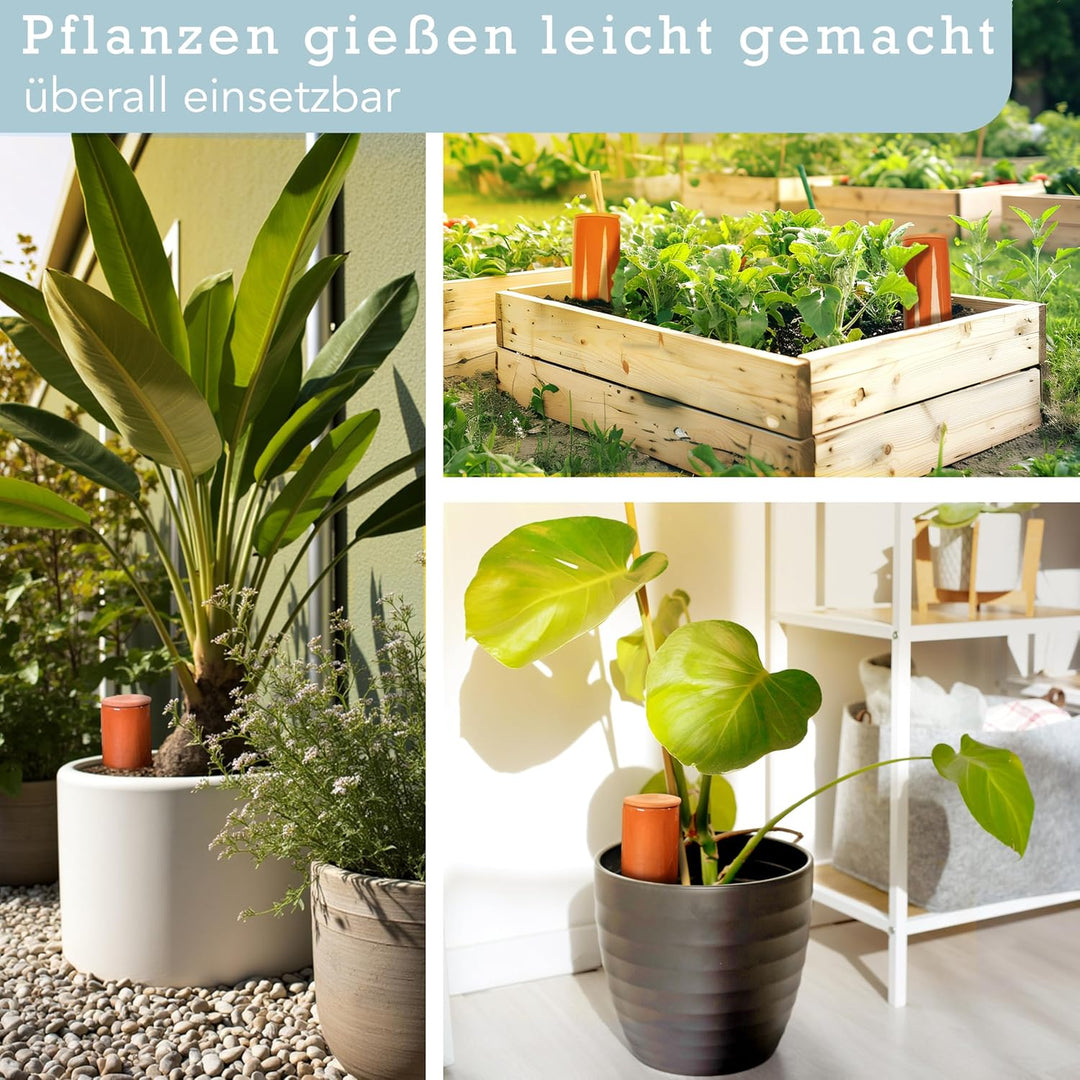 Terracotta Giesshilfe (3X 330 ml) handgefertigt für Bewässerung Zimmerpflanzen | Wasserstandsanzeige