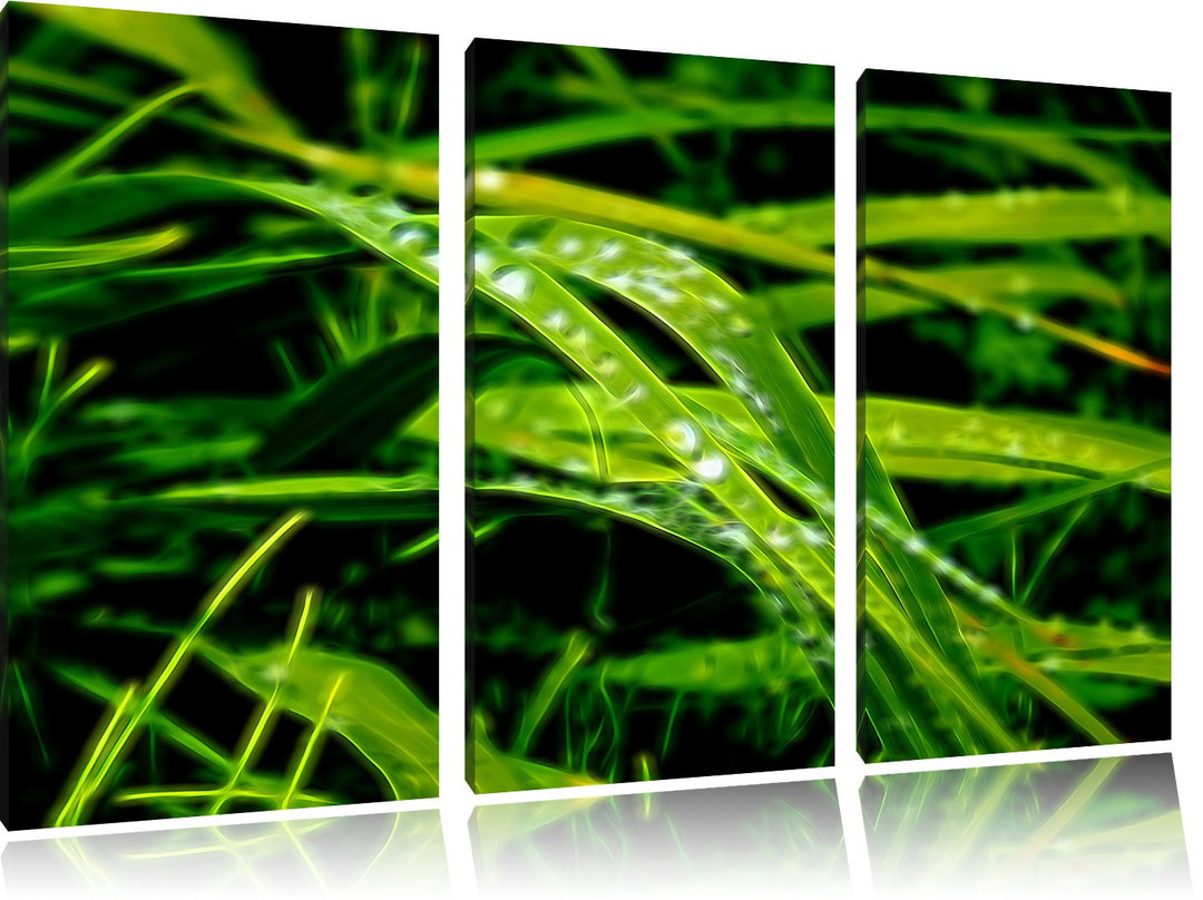 Pixxprint Grashalme Neon Lights Effekt 3-Teiler Leinwandbild 120x80 Bild auf Leinwand