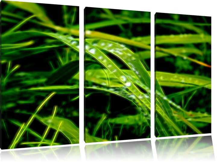 Pixxprint Grashalme Neon Lights Effekt 3-Teiler Leinwandbild 120x80 Bild auf Leinwand
