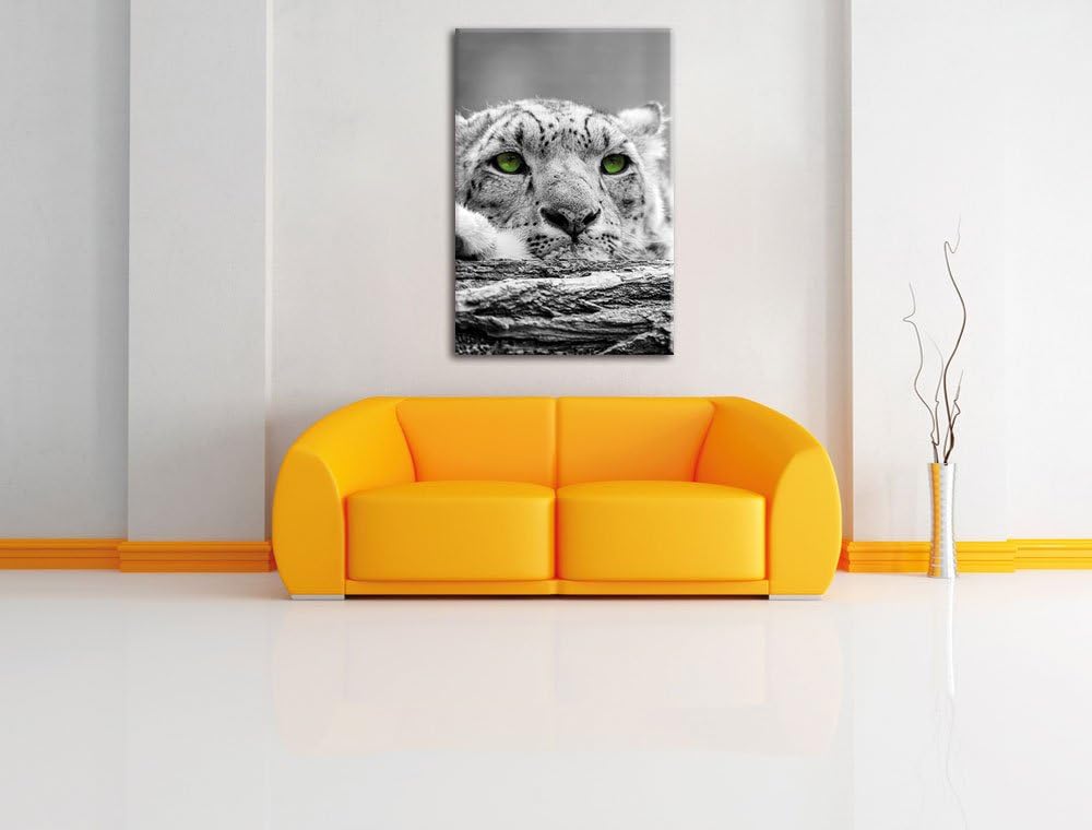 Pixxprint Gepard mit grünen Augen auf Baumstamm als Leinwandbild/Grösse: 120x80 cm/Wandbild/Kunstdru