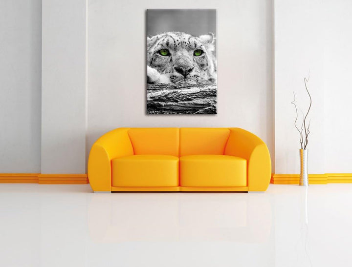 Pixxprint Gepard mit grünen Augen auf Baumstamm als Leinwandbild/Grösse: 120x80 cm/Wandbild/Kunstdru