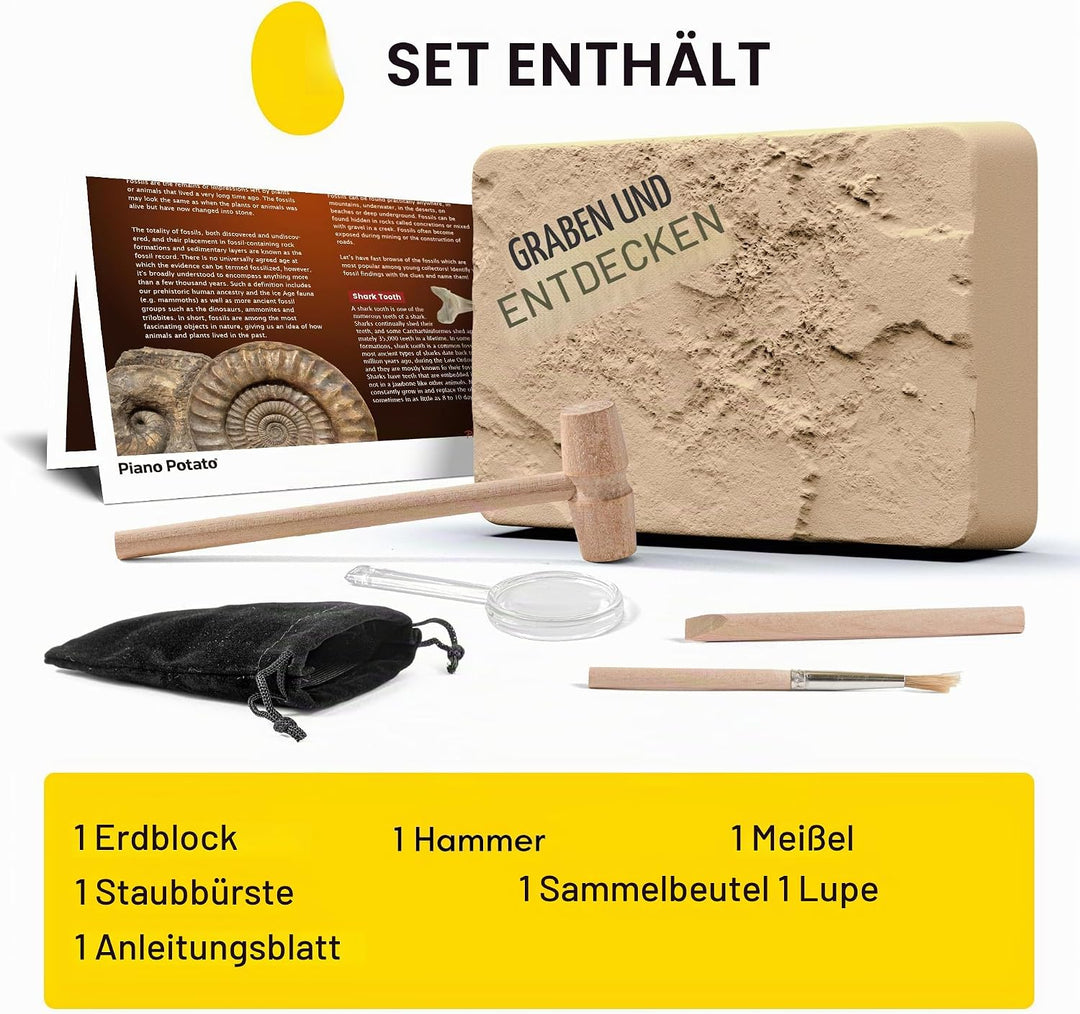 Ausgrabungsset für Kinder – Grabe 5 echte Versteinerungen STEM Wissenschaft Spielzeug, Geologie Pale