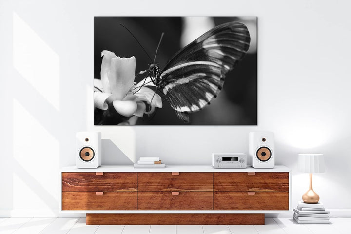 deyoli zauberhafter Schmetterling Effekt: Schwarz&Weiss Format: 80x60 als Leinwandbild, Motiv fertig