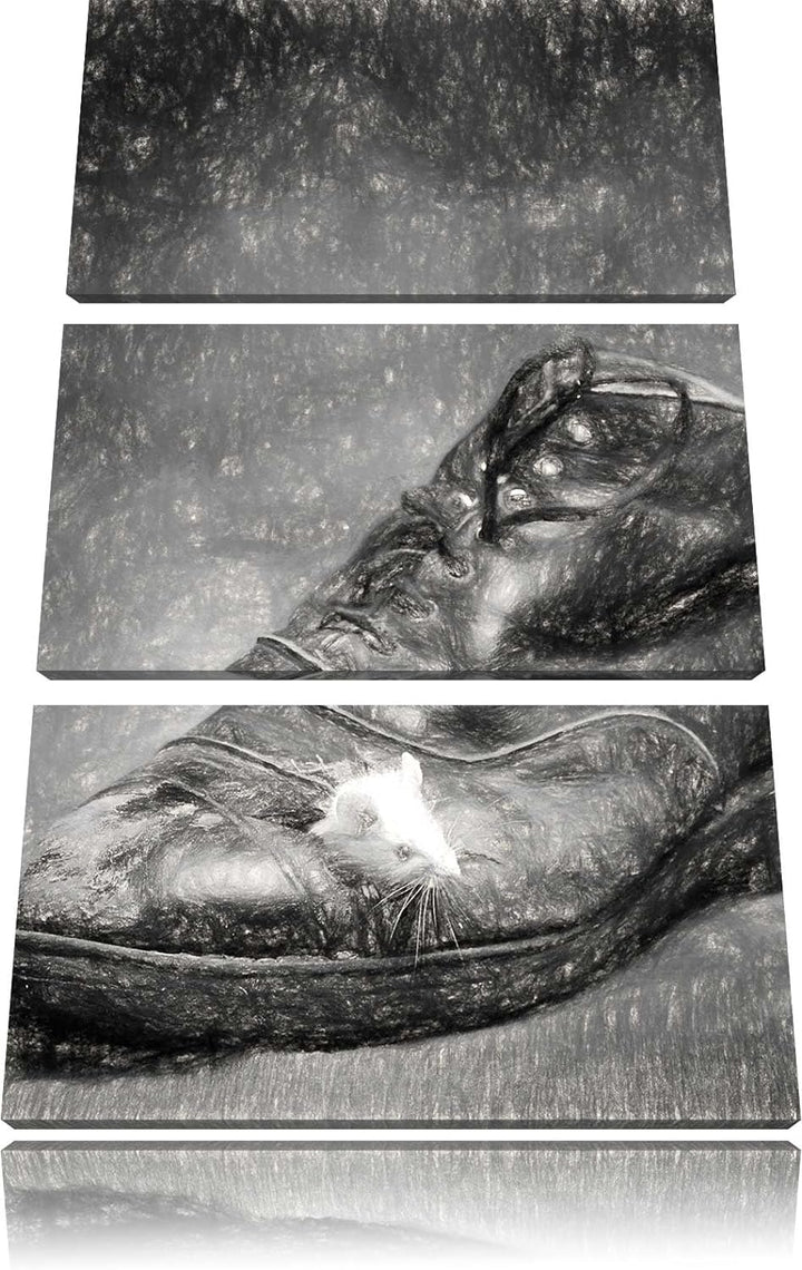 Pixxprint Maus im Schuh als Leinwandbild/Grösse: 3 Teilig (120x80) cm/Wandbild/Kunstdruck/fertig bes